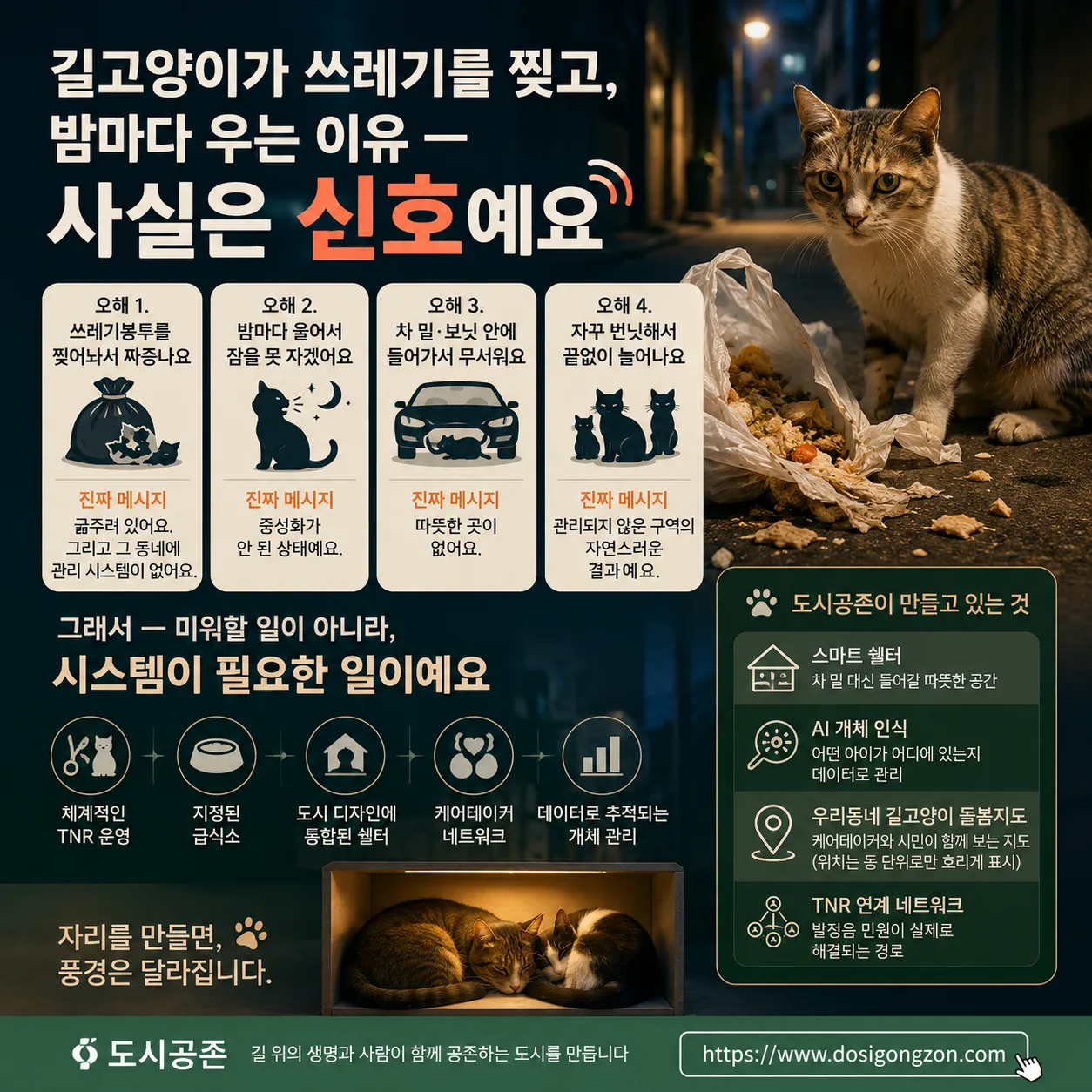 쓰레기봉투·울음소리·차 밑 고양이 — 4가지 민원의 진짜 원인