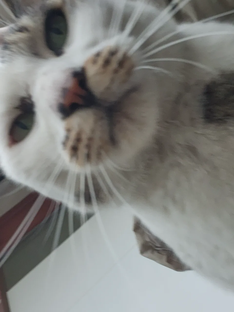 모름