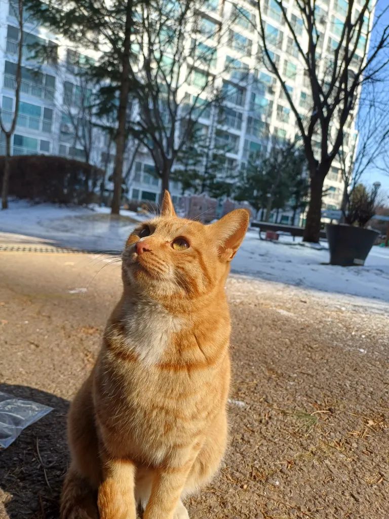 홍시 다이어리 — 5. 16.